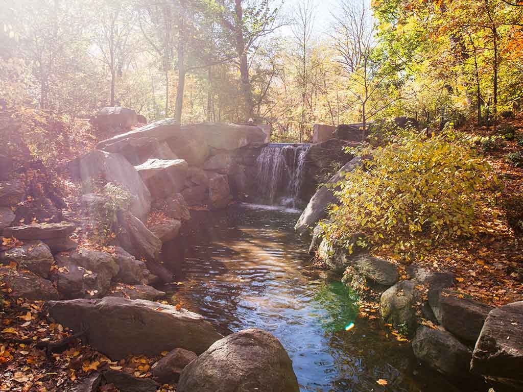 Central Park