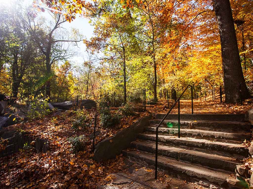 Central Park